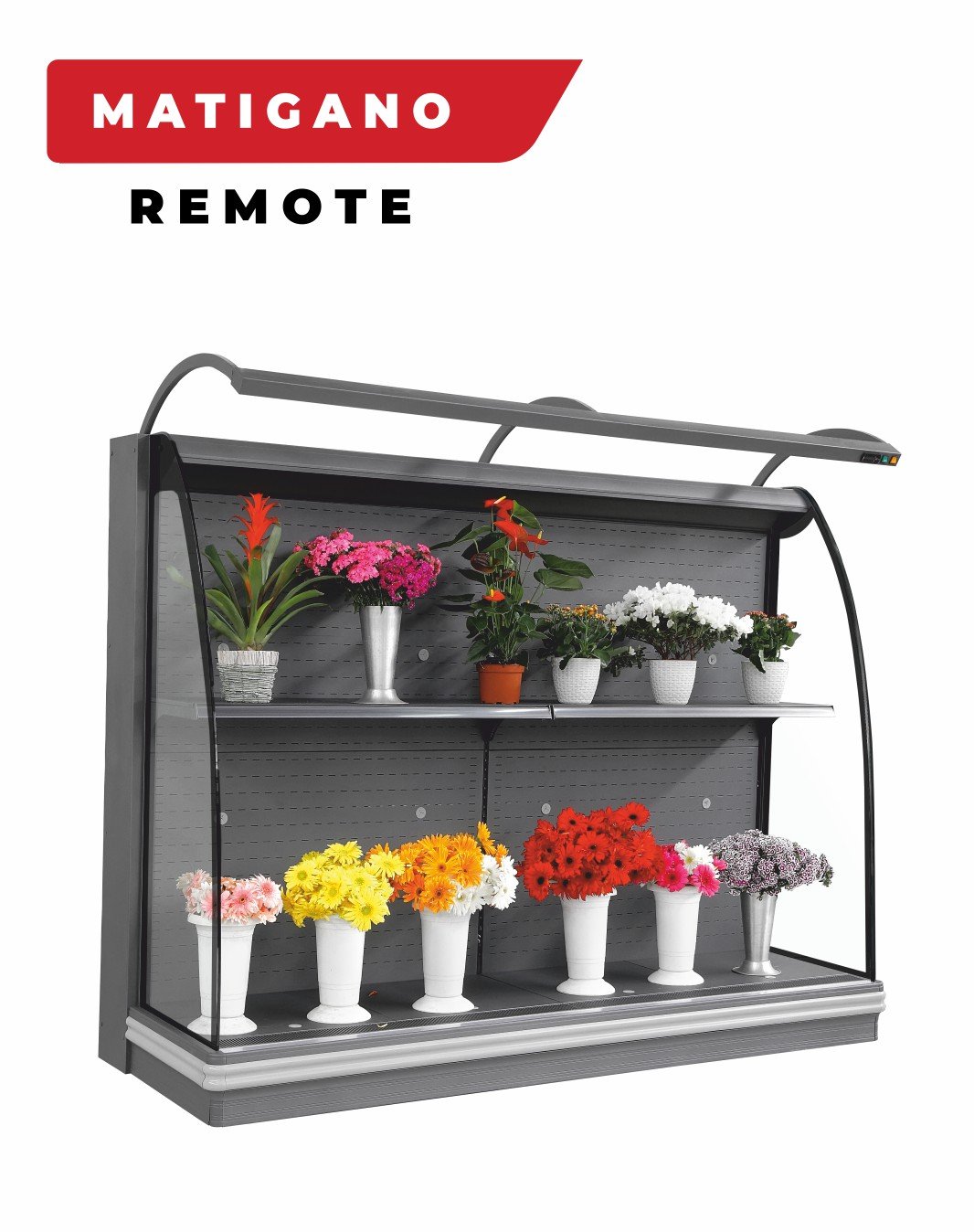 Fratilli Dikey reyonlar