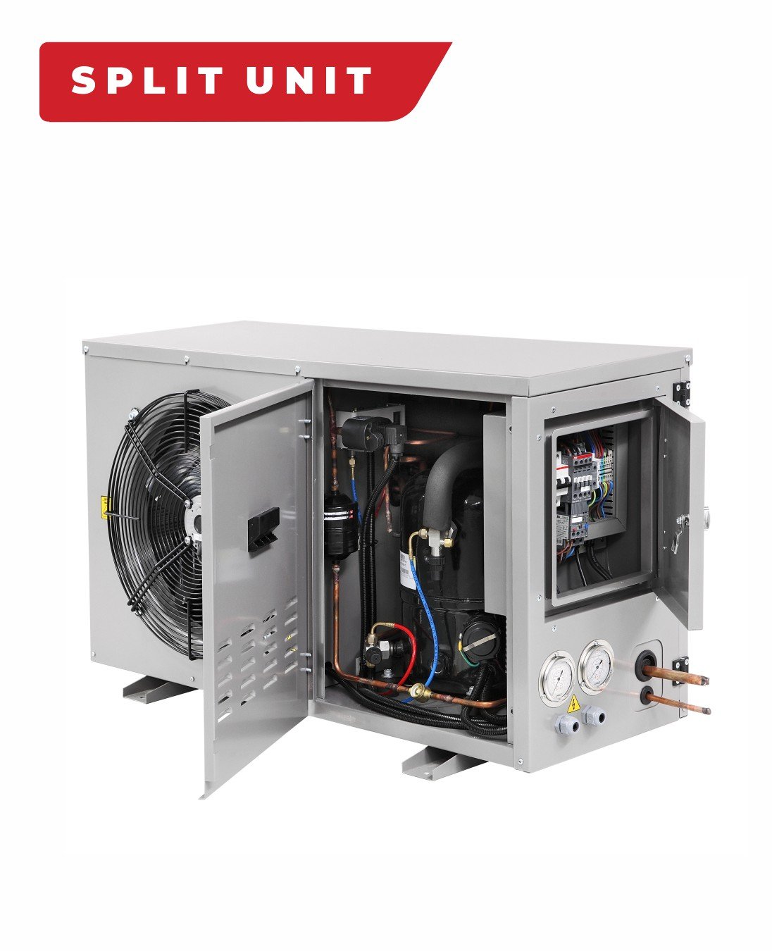 Fratilli Dikey reyonlar