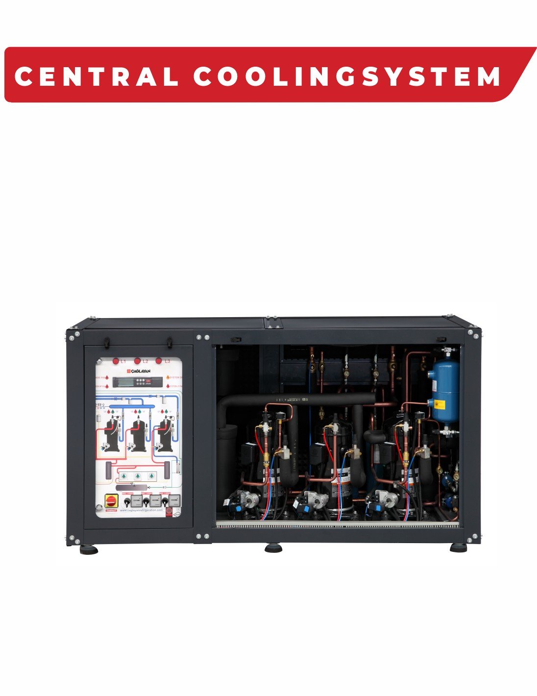 Fratilli Dikey reyonlar